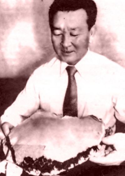 Обломок ячеистой структуры от KAL 007, найденный в проливе Цугару (Сангарский пролив между островами Хоккайдо и Хонсю) в сентябре 1983 года, в более чем трехстах милях к югу от того места, где, как считалось, разбился авиалайнер. Японское ведомство самообороны понимало: если станет известно о том, что корейский лайнер разбился на юге, публика поймет, что обломки, найденные на севере, принадлежали военным самолетам. Оно отозвало поиски в проливе Цугару, утверждая, что найденные обломки принадлежали самолетам-мишеням, используемым для учебных воздушных стрельб.