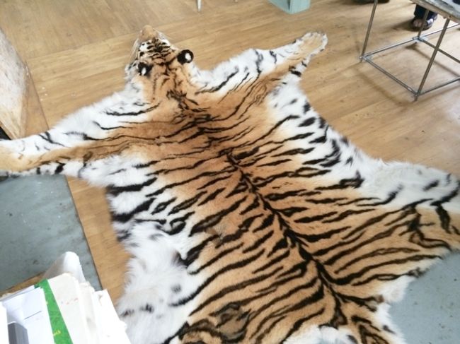 Шкуру оценили в 900 тыс. рублей