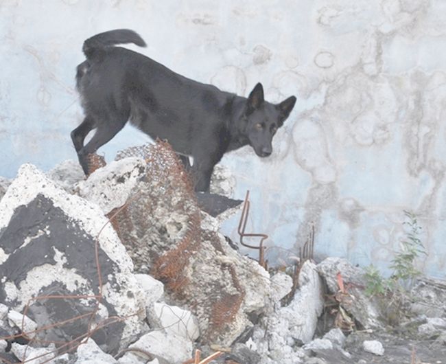 В поиске человека