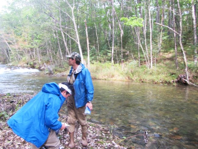 Описание местообитаний выдры. Фото Такахиро Мураками