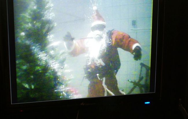 Ёлка под водой. Фото пресс-службы Дальневосточного регионального поисково-спасательного отряда МЧС России