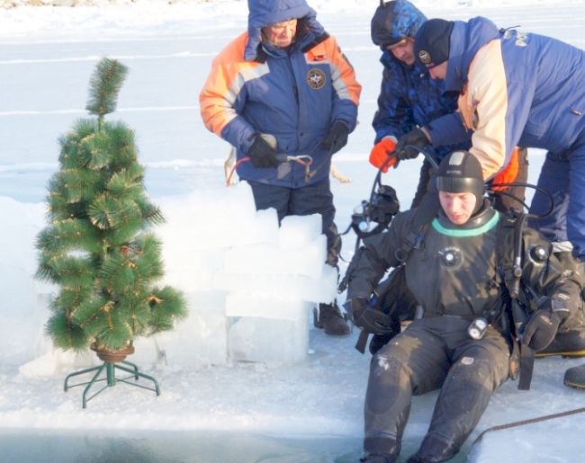 Такую елку установили в Охотском море