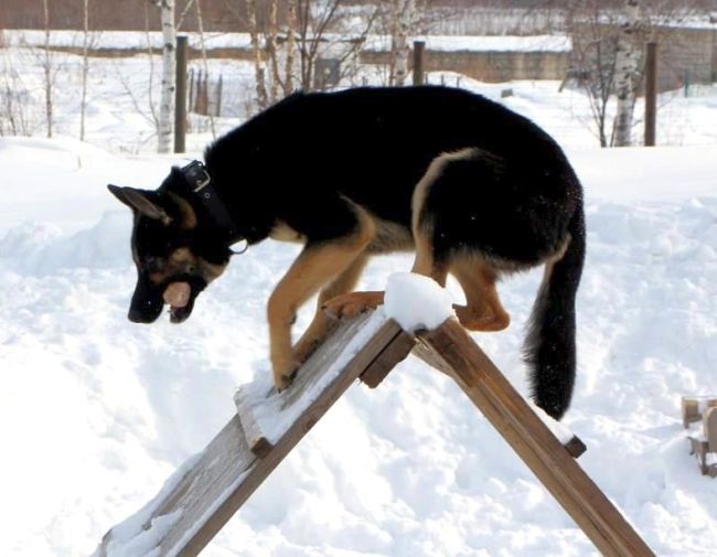 Преодоление препятствий