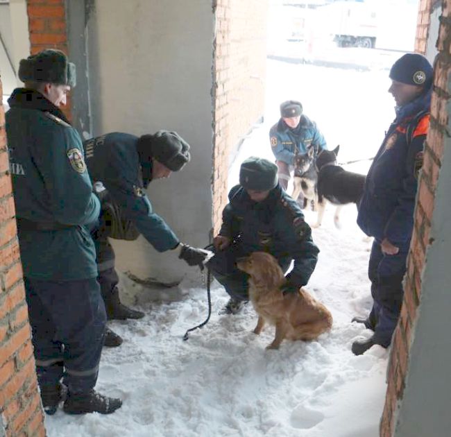 Поиск начался