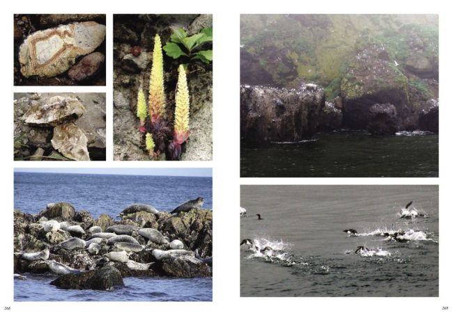 Из неизданной книги Сергея Балбашова - Охотоморье (нажмите, чтобы увеличить)