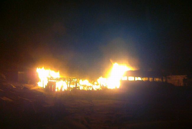 Большой Уссурийский остров в огне. Фото сделано под утро местными жителями на мобильный телефон. (нажмите, чтобы увеличить)