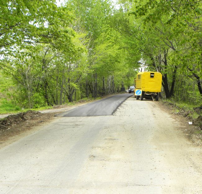 Биробиджан, ул. Питомник