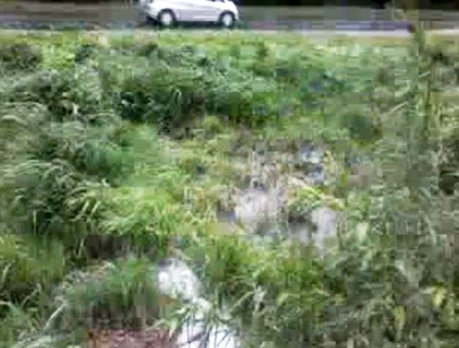 Вода льется за дом, образуя болото. Бикин, ул. Бонивура, 110, дом для переселенцев граждан из аварийного жилья