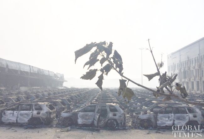 На утро в Тяньцзине