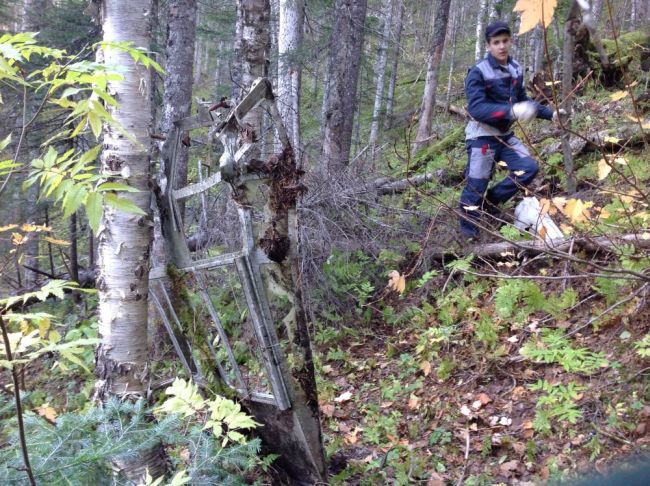 Кабина самолета - фонарь (нажмите, чтобы увеличить)