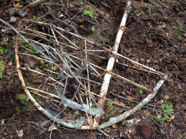 Все что осталось от крыла (нажмите, чтобы увеличить)