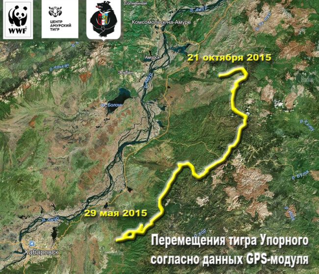 Перемещения Упорного на 21 октября 2015 г.