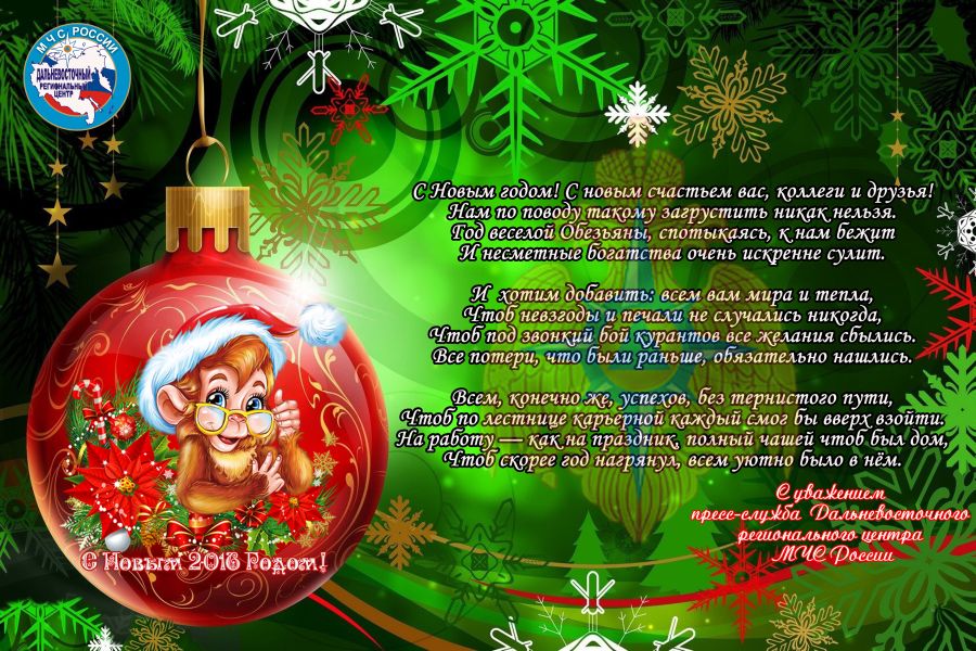 Пресс-служба Дальневосточного регионального центра МЧС России