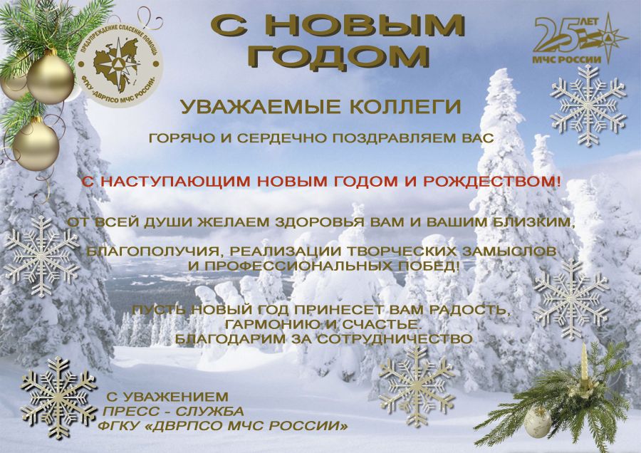 Пресс-служба Дальневосточного регионального поисково-спасательного отряда МЧС России