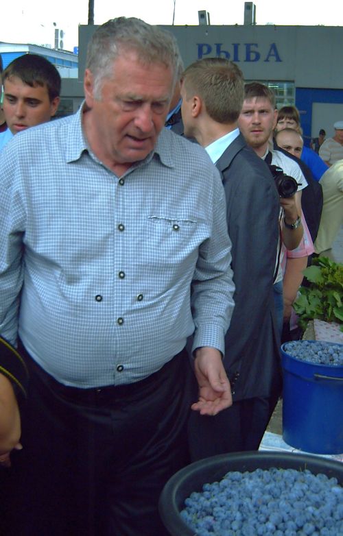 Владимир Жириновский на хабаровском рынке: Голубику не надо! Женьшень есть?