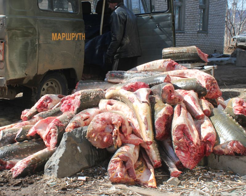 Сумма ущерба, нанесенного государству, составила более 850 тыс. рублей