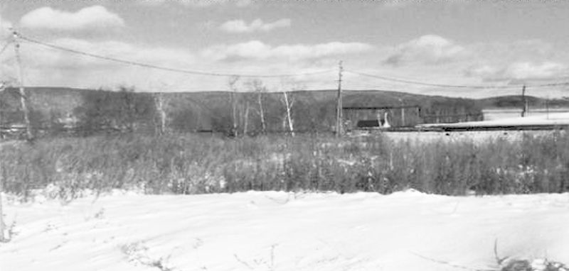 Фото №10 (2017 г.)