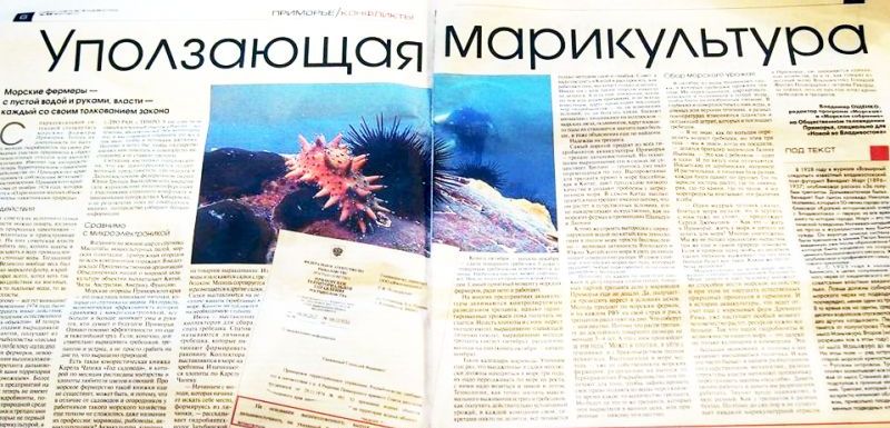«Новая газета во Владивостоке», №399