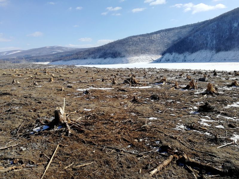 Здесь прошло цунами