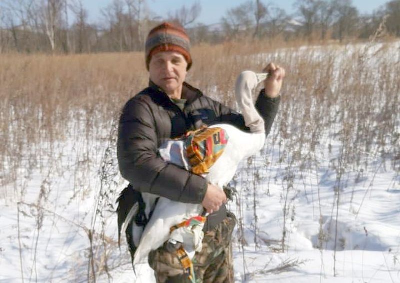 Японского журавля, свернувшего не туда, спасли в Приморье