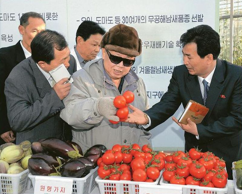 В Пхеньянском НИИ овощеводства. Март 2011 года.