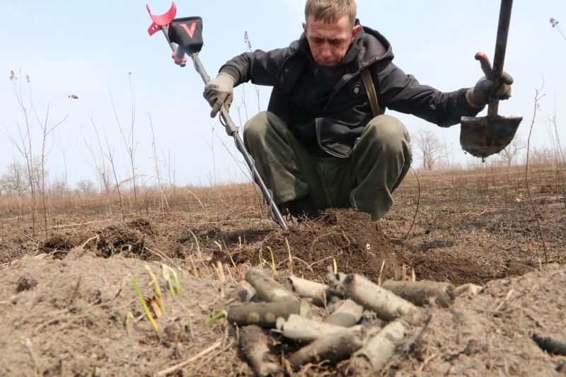 Поиски продолжаются