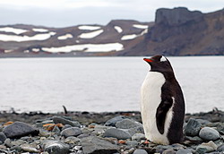 Нажмите, чтобы увеличить