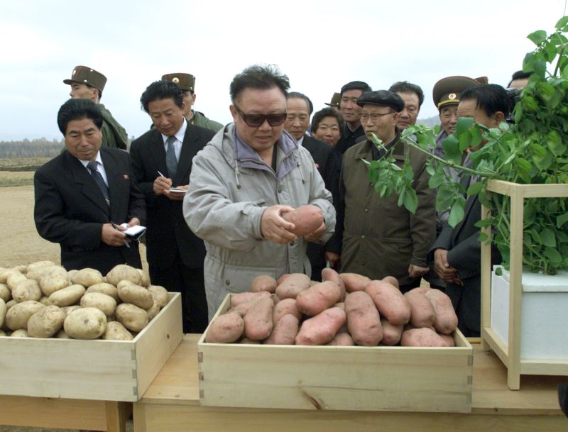 Великий Ким Чен Ир ознакомляется с урожайностью картофеля. Октябрь 91 г. чучхе (2002).