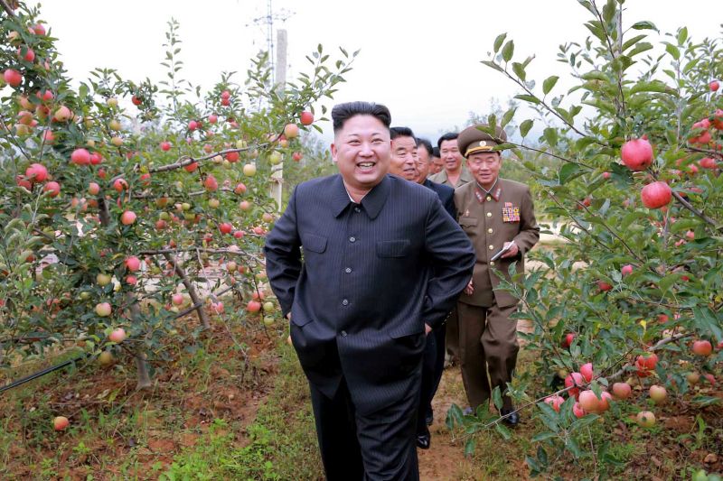 Уважаемый Ким Чен Ын в Косанском плодоводческом комплексе. Сентябрь 105 г. чучхе (2016).