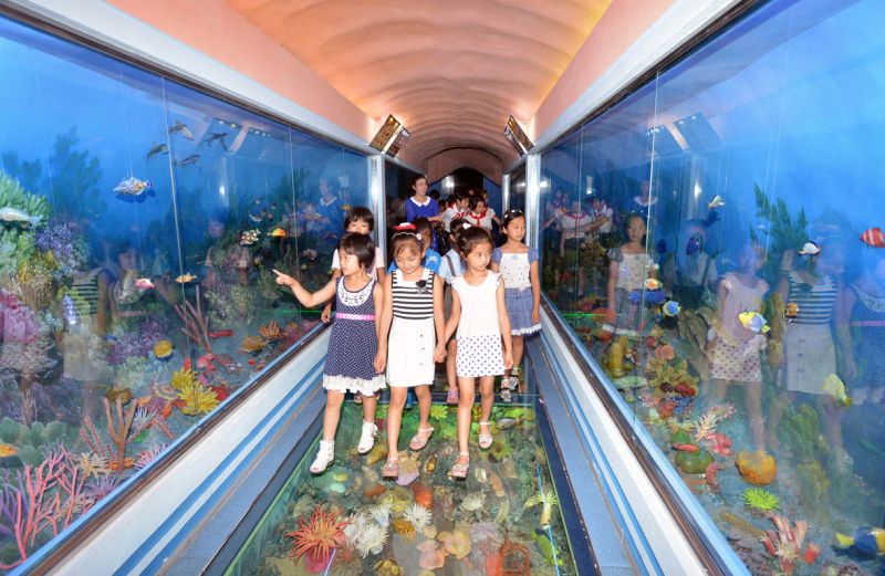 В Музее естествознания.