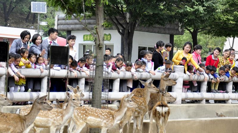 В Центральном зоопарке.