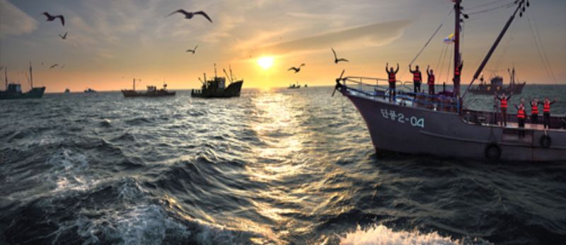 Возвращаются в родной берег суда «Танпхун» с полными трюмами.