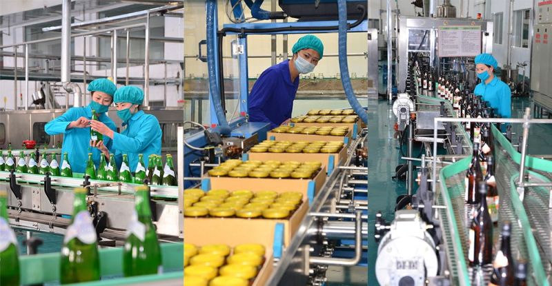 Замечательная обстановка труда в Тэдонганском плодоперерабатывающем комплексе. Трудящиеся выбирают профессию по своим желаниям и способностям, а государство создает им стабильную работу и нормальные условия труда