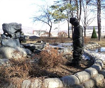 Объект №10 Неопознанный объект. Апрель 2023 год.