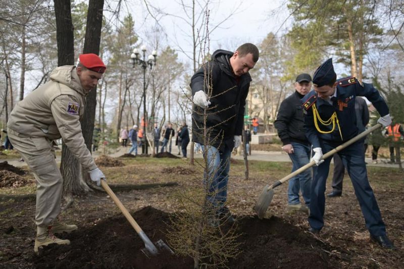 Михаил Дегтярев присоединился к Всероссийскому субботнику и дал старт федеральной акции «Сад Памяти» в крае