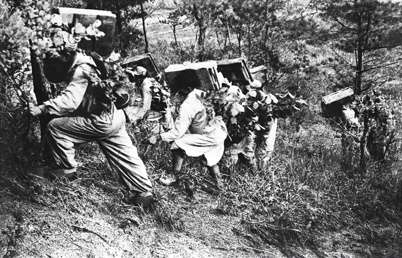 Жители перевозят боеприпасы к бойцам Народной Армии.