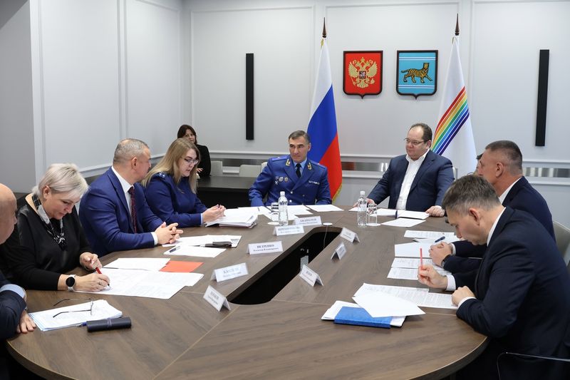 Новый алгоритм обеспечения детей-сирот жильем обсудили в правительстве ЕАО