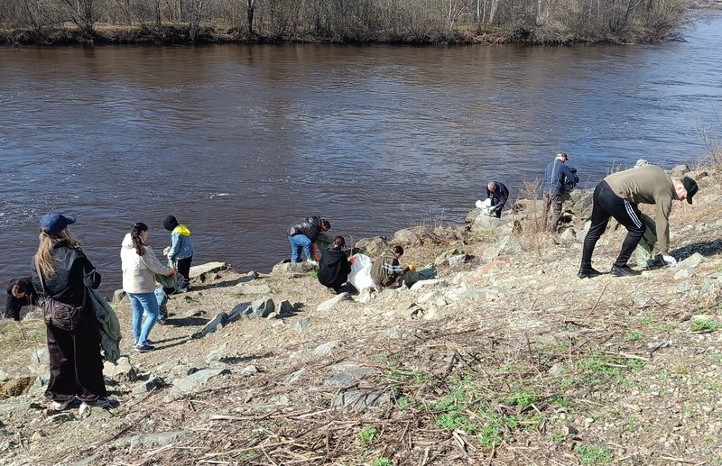 Более 50 человек стали участниками плоггинга в Биробиджане