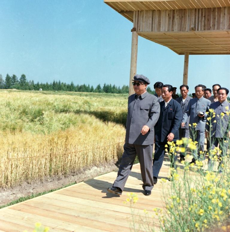 На Пхотхэском объединенном госхозе. Август 1980 года.