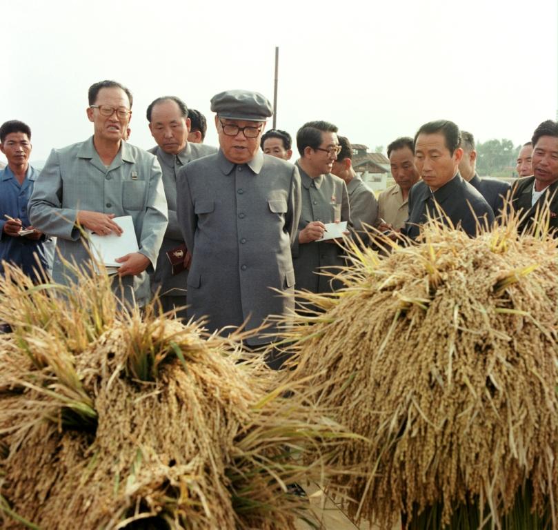 В Сонсокском сельхозкооперативе уезда Пхёнвон. Сентябрь 1981 года.