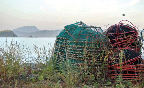 За изъятие такиех вот крабовых ловушек лишился работы начальник службы охраны заповедника Владимир Демиденко