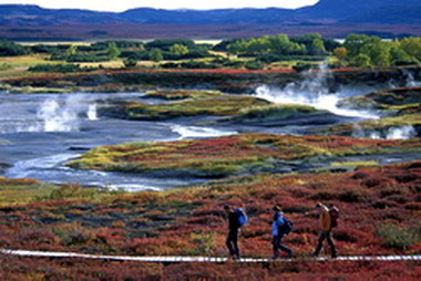 Тот самый настил, на котором устроили пикник прокурорские. Фото: Нина Доронина