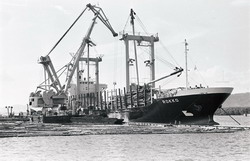 В порту Маго (нажмите, чтобы увеличить)