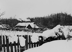 Лесная деревушка (нажмите, чтобы увеличить)