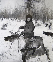 Пастух (нажмите, чтобы увеличить)