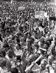 Протестуем (нажмите, чтобы увеличить)