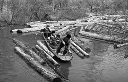 Сплавщики леса (Дорофеева) (нажмите, чтобы увеличить)