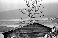 Старость (нажмите, чтобы увеличить)