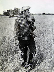 Хлебороб (нажмите, чтобы увеличить)