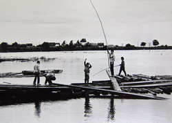 Чебачки (нажмите, чтобы увеличить)